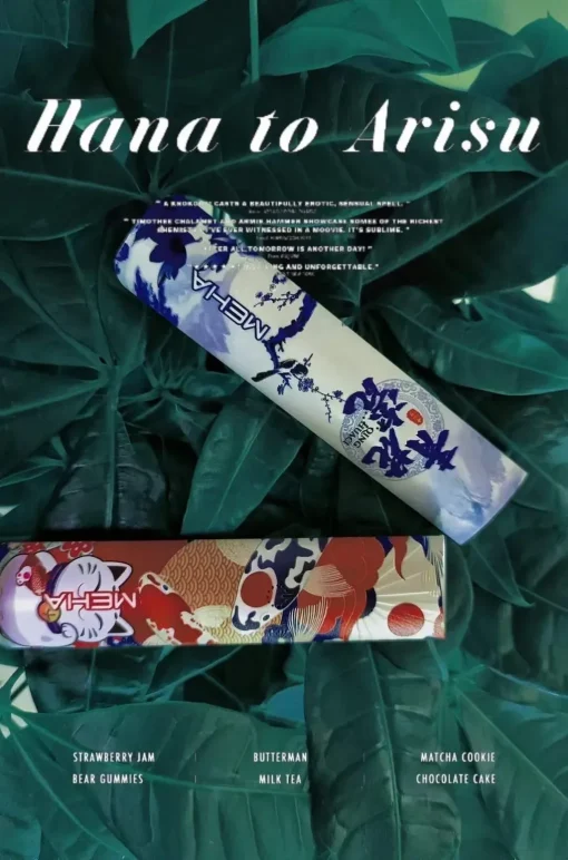 煙草vs电子烟